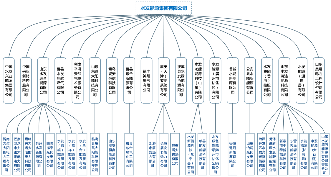 水发能源组织架构图(网站用).png